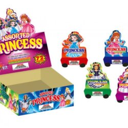Princess Cars