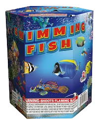 Swimming Fish
